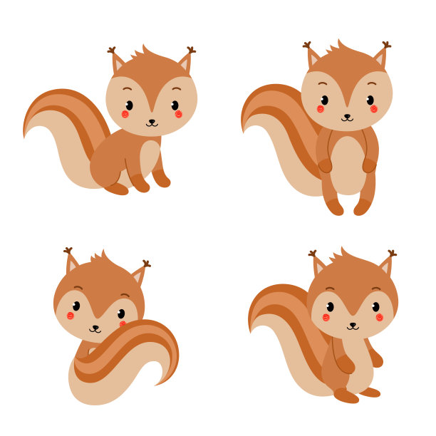 可爱小松鼠