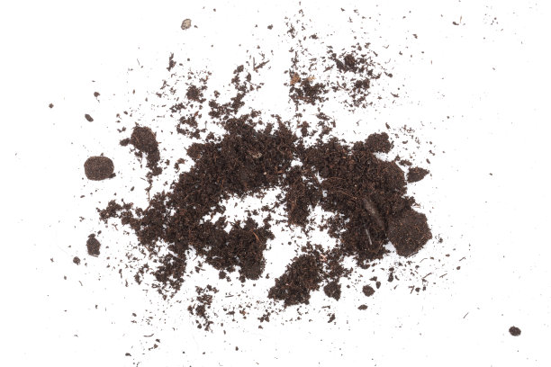 dirt
