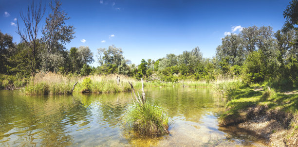 wetland