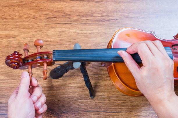 violin