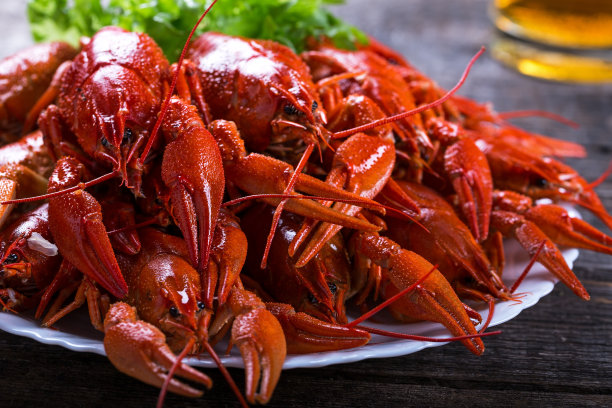 crawdad