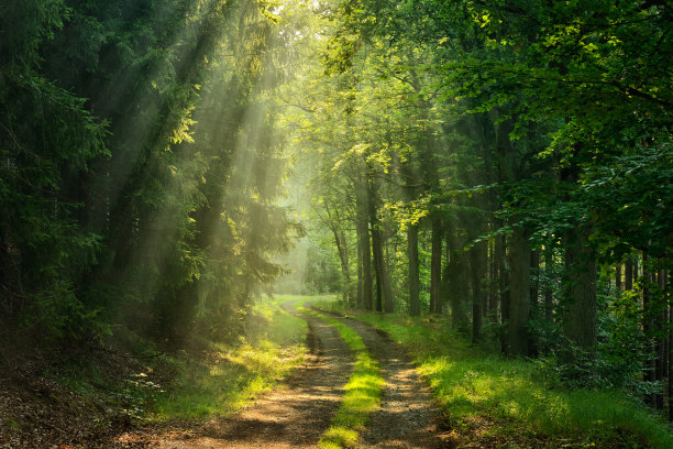 pathway