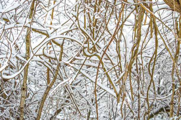 2018雪灾