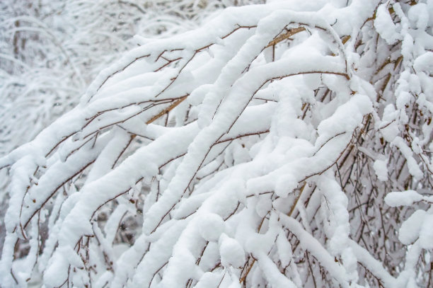 2018雪灾