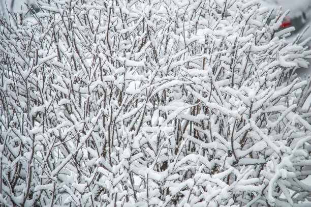 2018雪灾