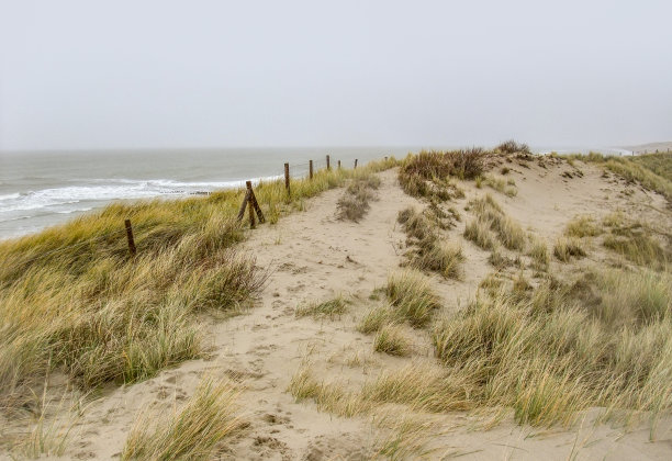 groyne