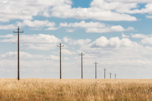 全国生态日背景