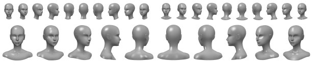 head