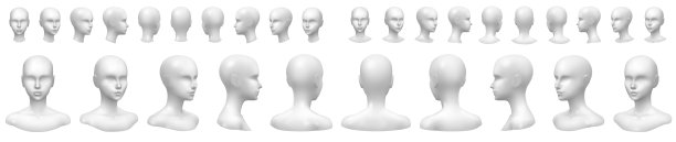 head