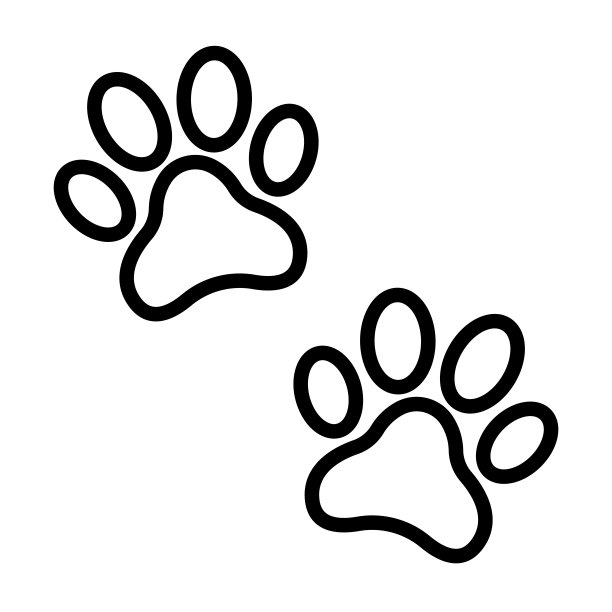 宠物猫宠物狗宠物店