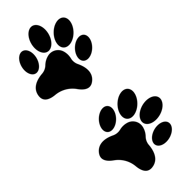 宠物猫宠物狗宠物店