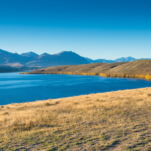 wanaka