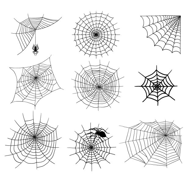 spider