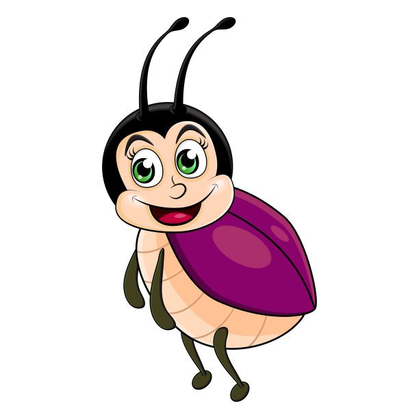 beetles