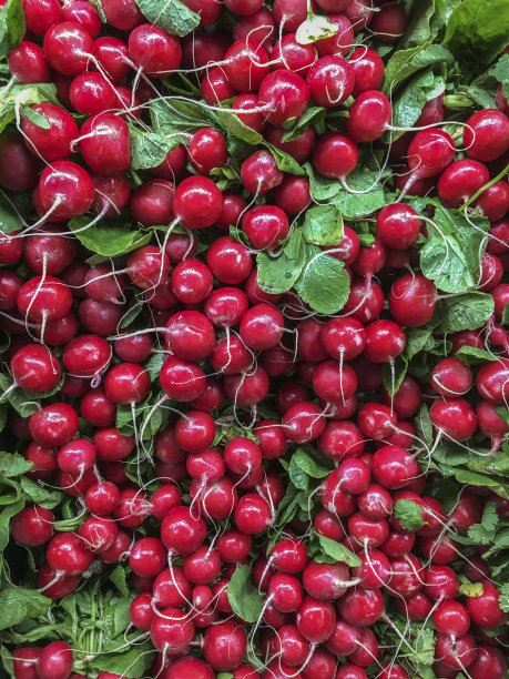 radishes