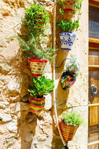 provence