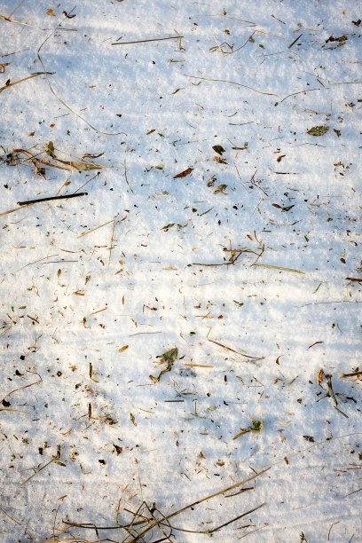 垂直画幅,干草,雪