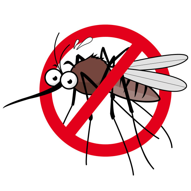 mosquito
