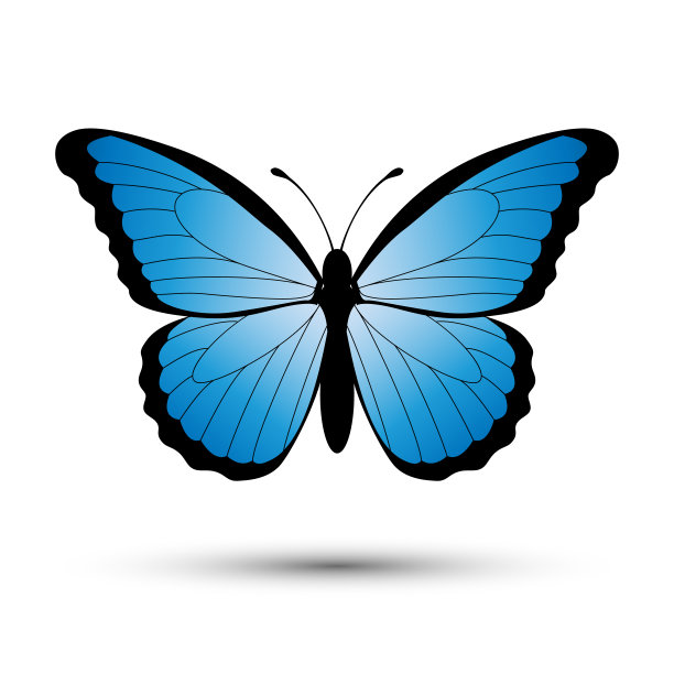 swallowtail