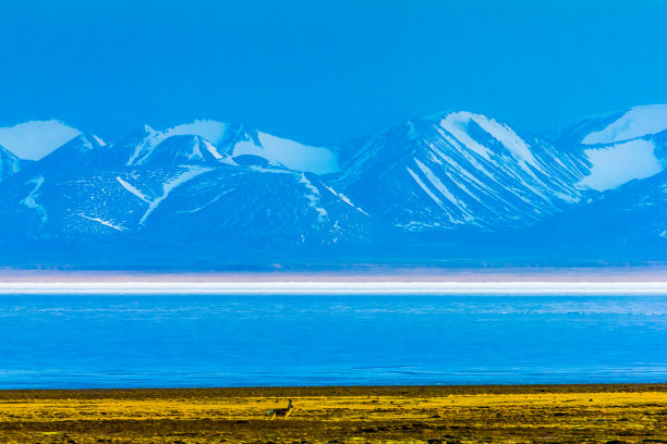 青海湖风景