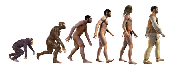 ape
