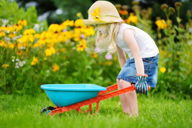 wheelbarrow
