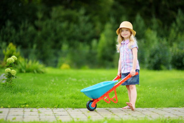 wheelbarrow