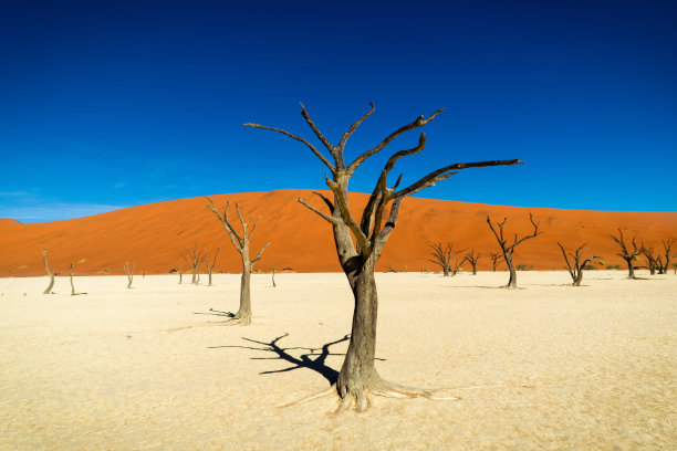 namibia