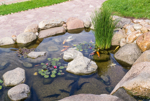 ponds
