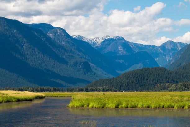 wetland