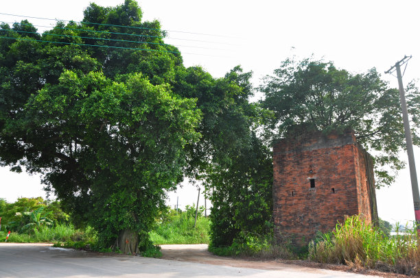 不走寻常路