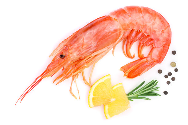 shrimps