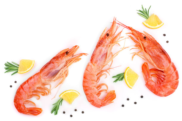 shrimps