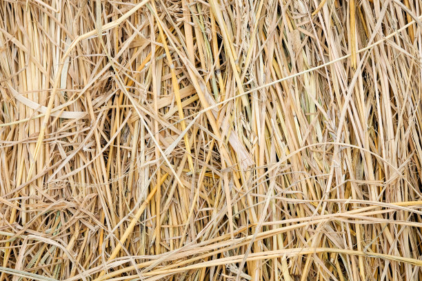 hay