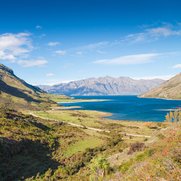 wanaka