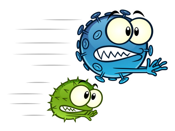 bacteria