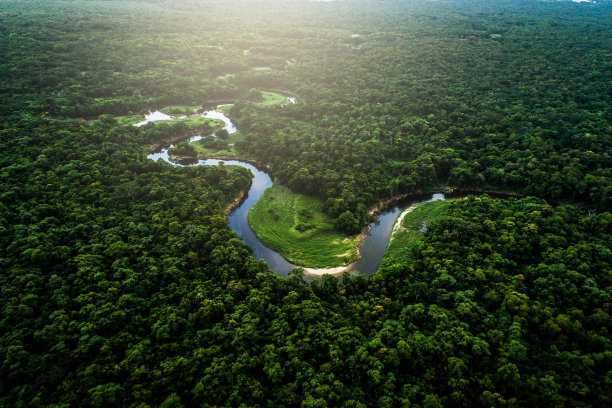 aerial