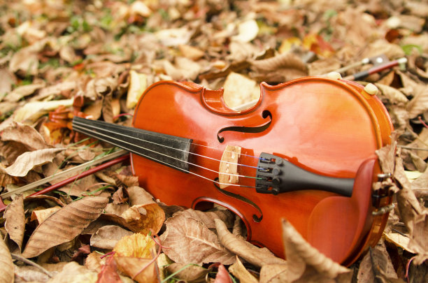 violin