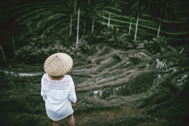 小沿草帽