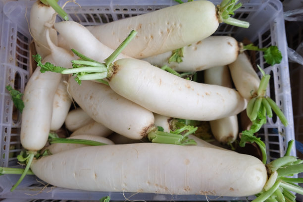 radishes