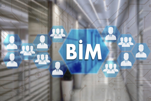 bim