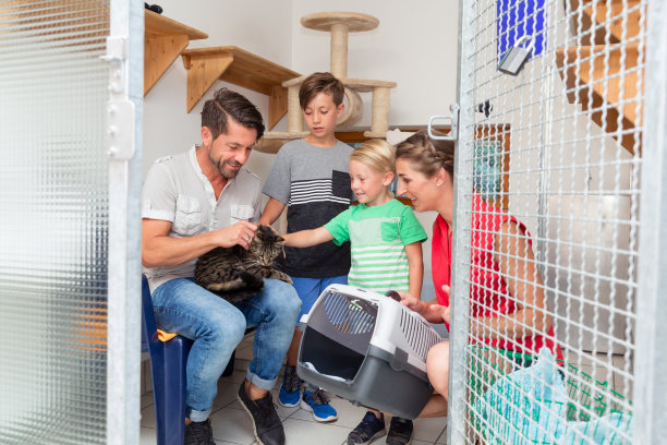adopted