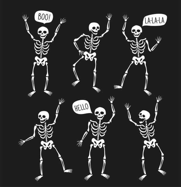 skeleton