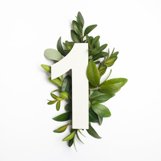 no.1