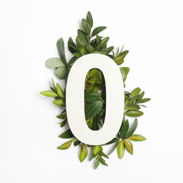 0号
