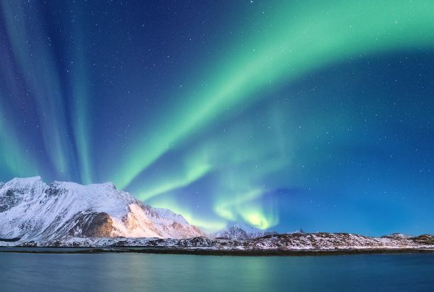 arctic