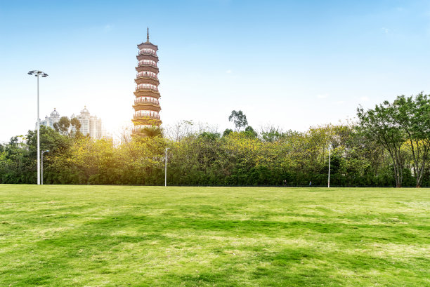 chedi
