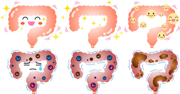 digestion