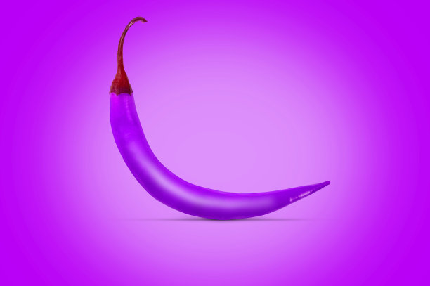紫色的朝天椒