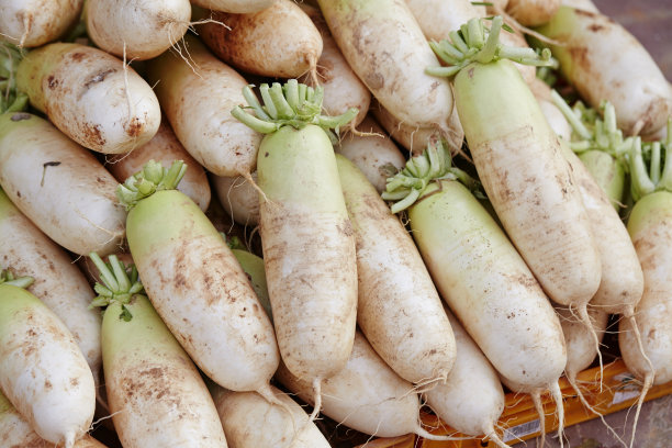 radishes